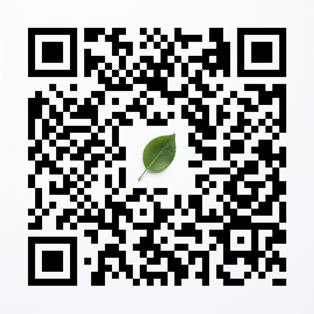 麻豆